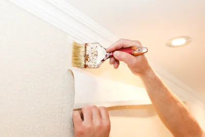 Pose de papier peint à Pierre-Châtel — revêtements muraux et toiles de verre